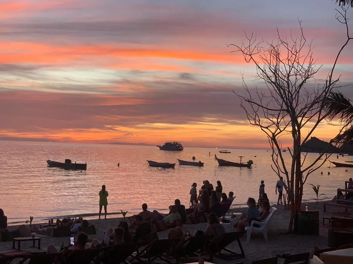Lotus Party Hostel & Beach Bar Koh Tao Thailand