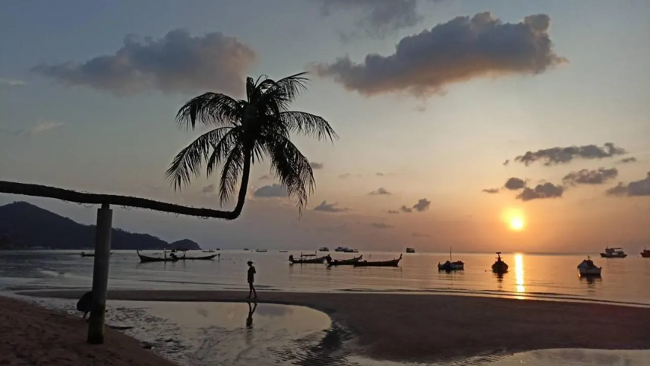 Lotus Party Hostel & Beach Bar Koh Tao