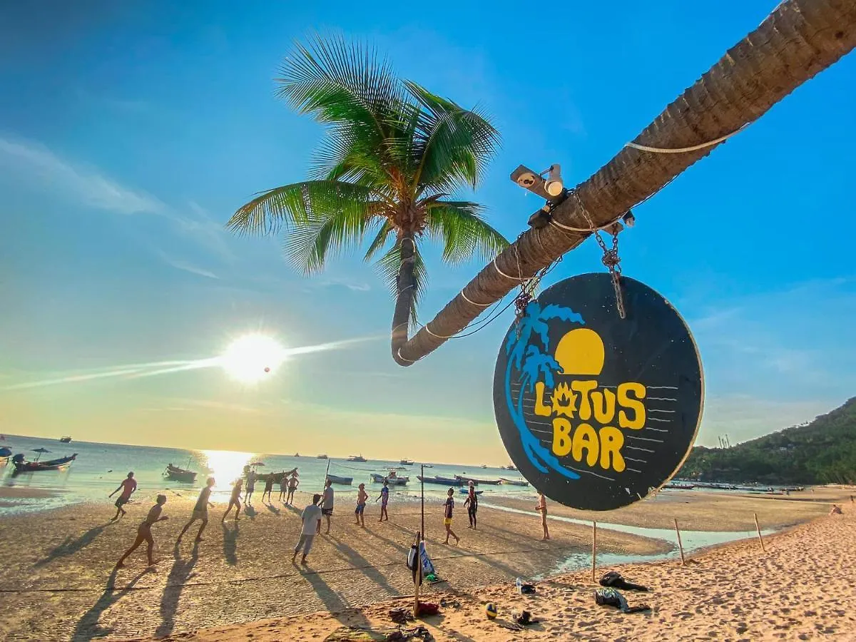 Lotus Party Hostel & Beach Bar Koh Tao