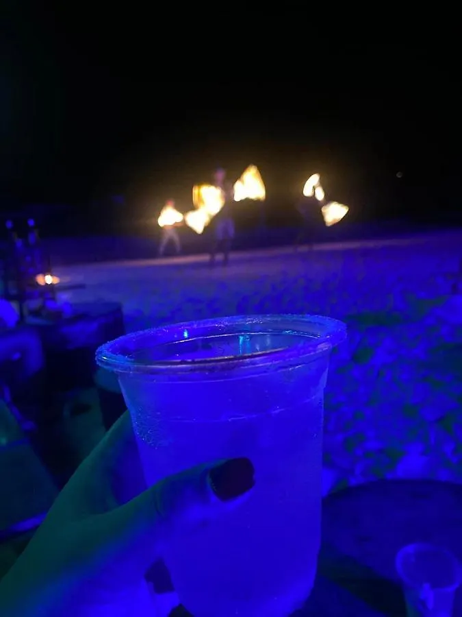 Lotus Party Hostel & Beach Bar Koh Tao